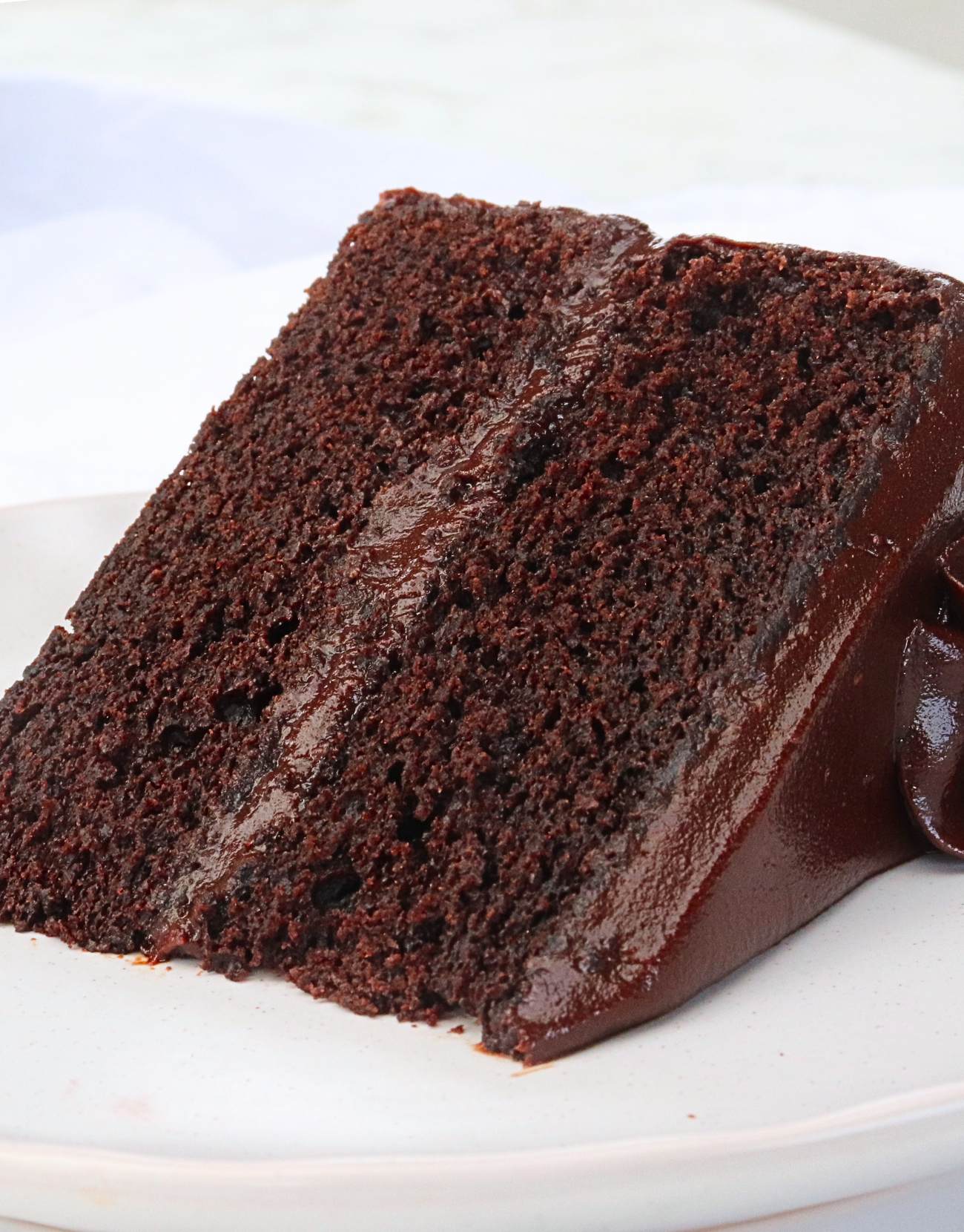 Chocolate cake slice